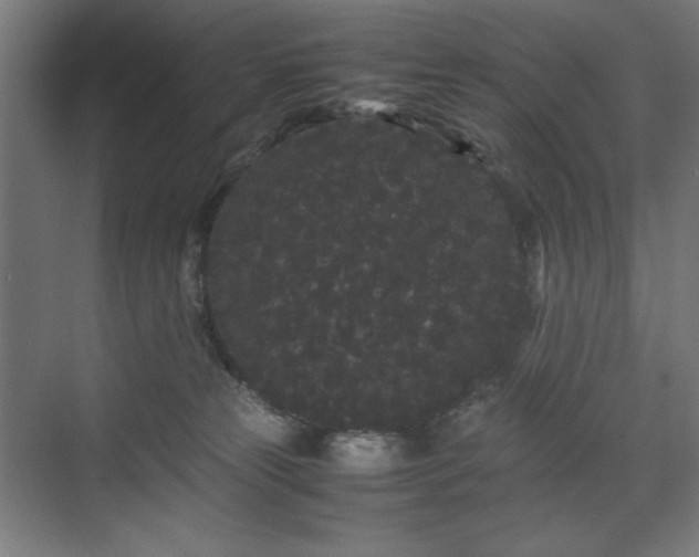 X0000071900181200607141344