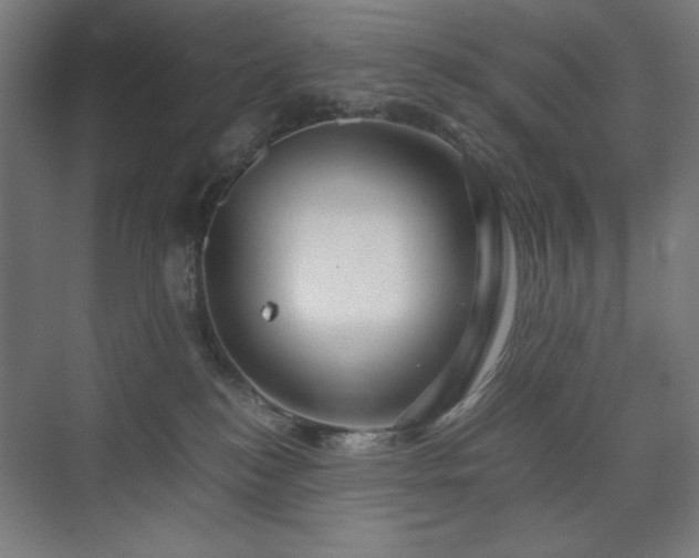 X0000071900184200607141344