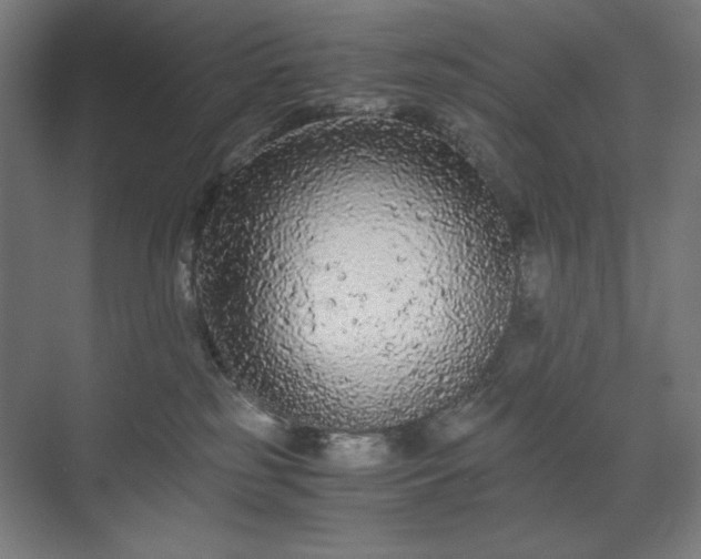 X0000071900185200607141344