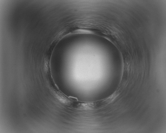 X0000071900188200607141344