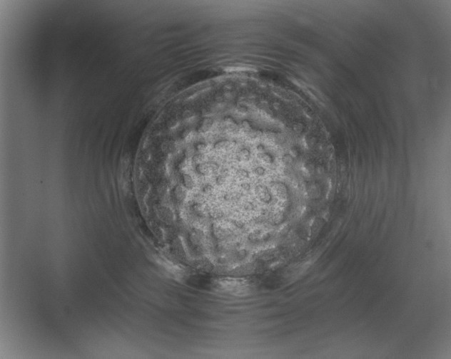 X0000071900189200607141344