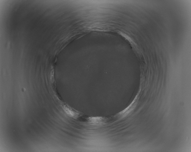 X0000071900192200607141344