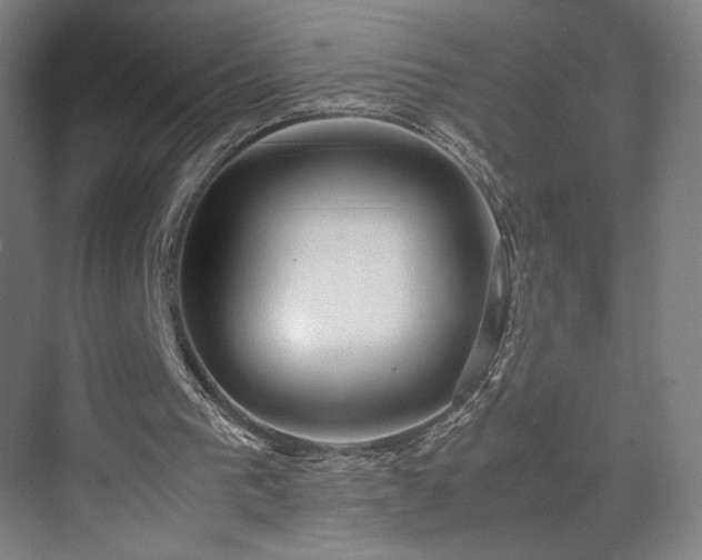 X0000071900193200607141343