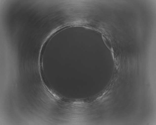 X0000071900196200607141343