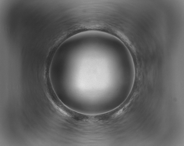 X0000071900201200607141343