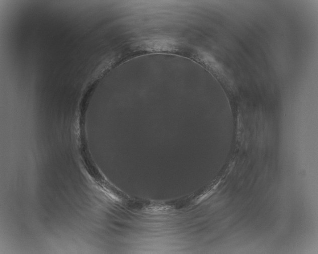 X0000071900202200607141343