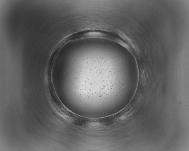 X0000071900203200607141343