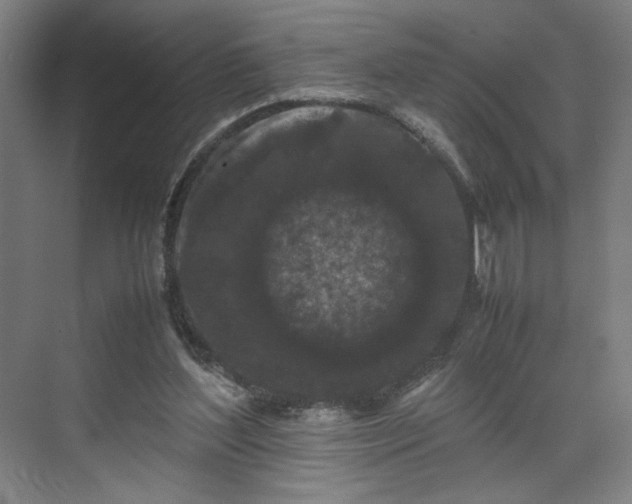 X0000071900204200607141343