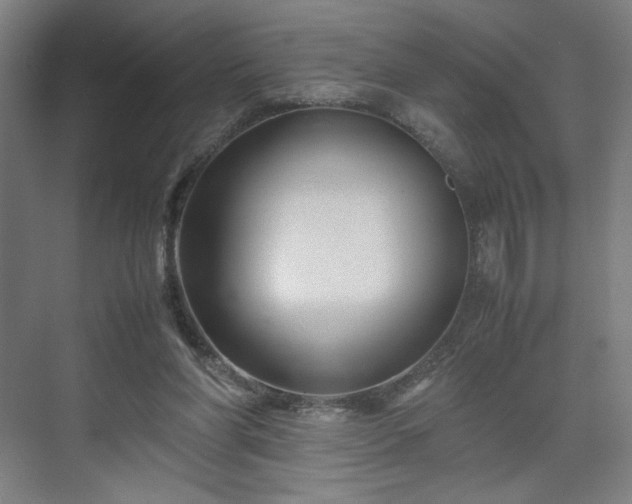 X0000071900206200607141343