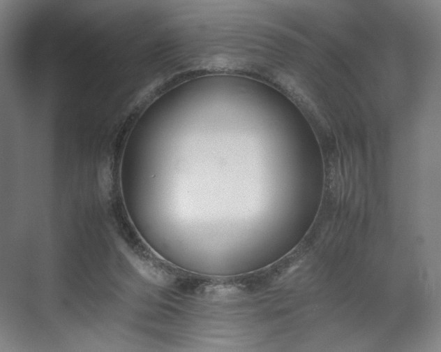 X0000071900208200607141343