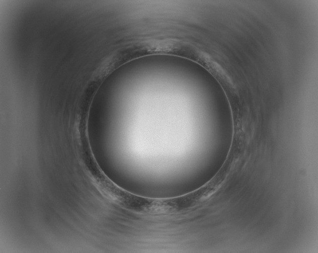 X0000071900209200607141343