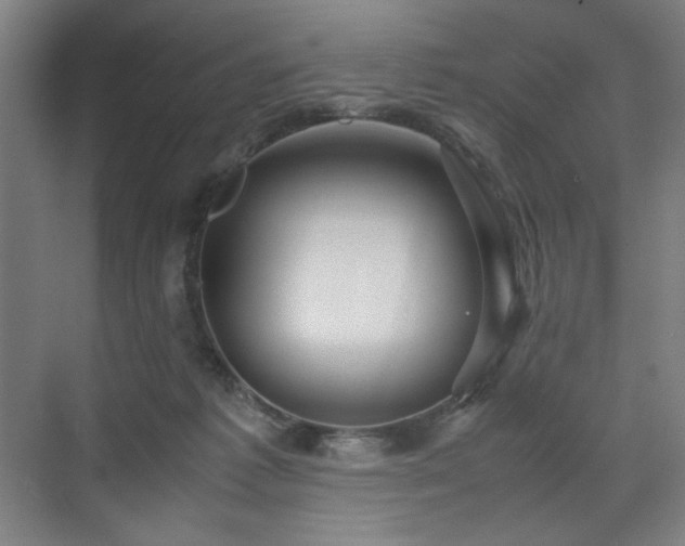 X0000071900221200607141342