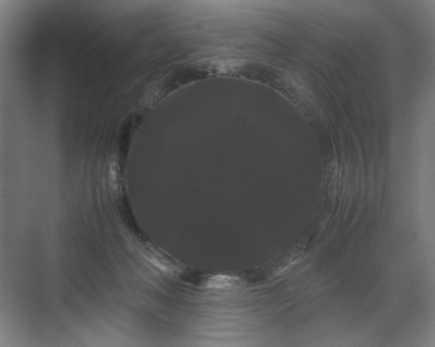 X0000071900222200607141342