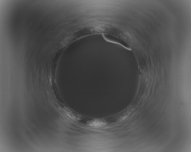 X0000071900223200607141342