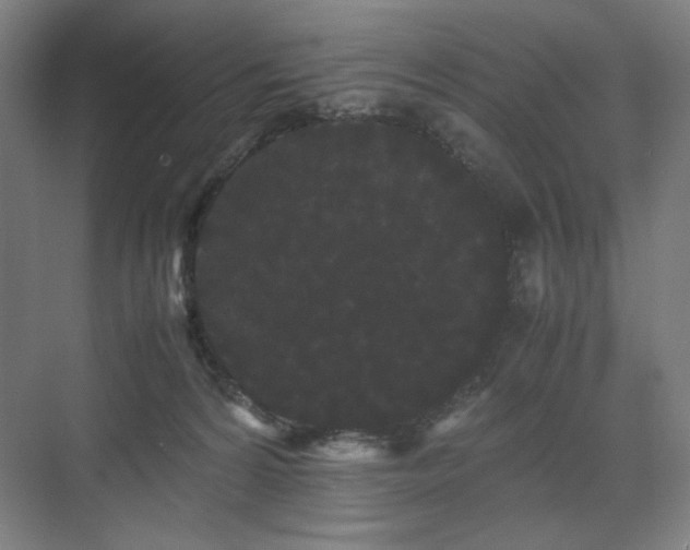 X0000071900224200607141342