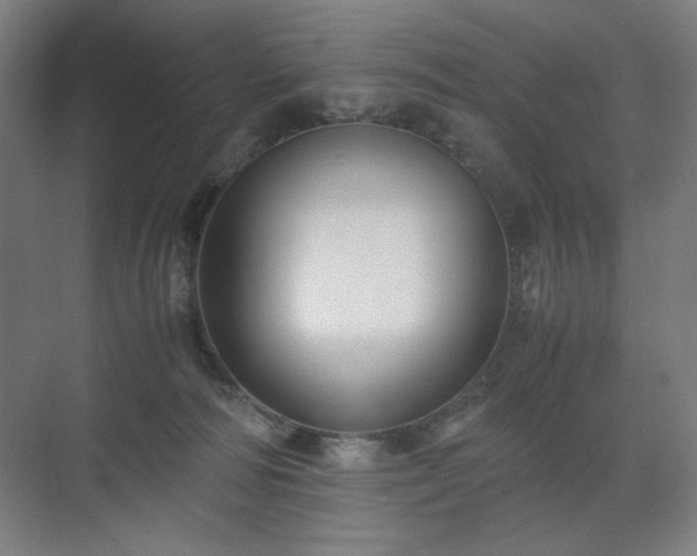 X0000071900226200607141342
