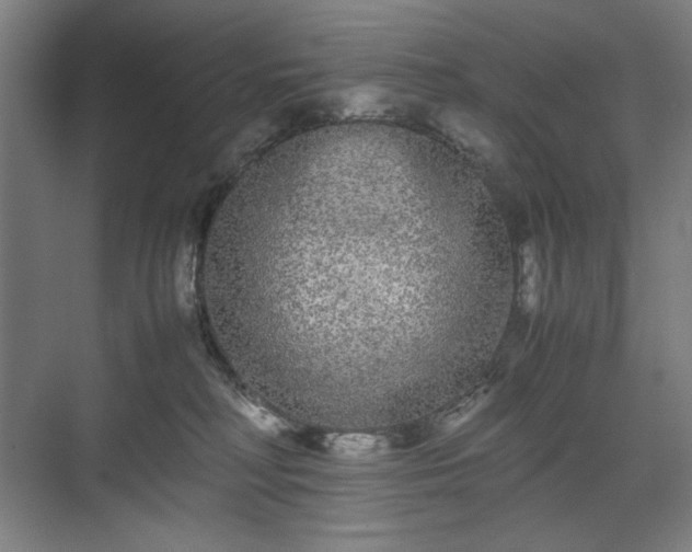 X0000071900230200607141342
