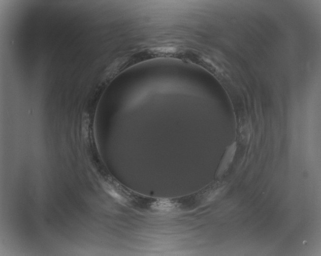 X0000071900231200607141342