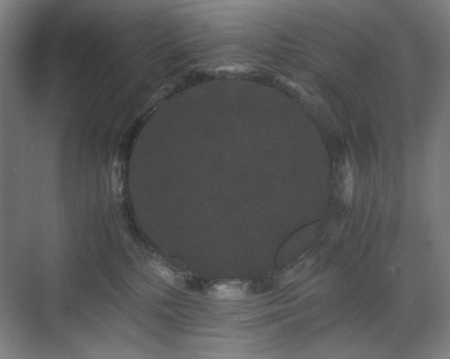 X0000071900232200607141342