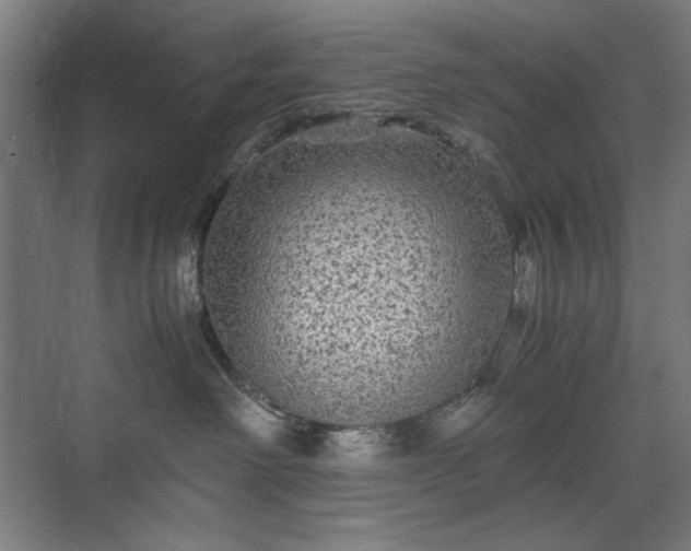 X0000071900238200607141342