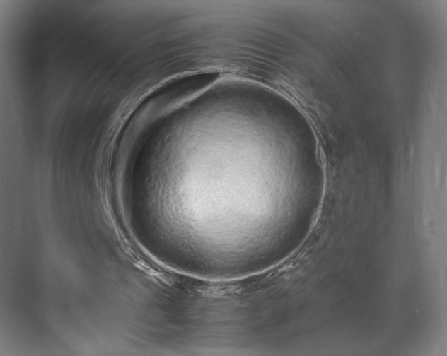 X0000071900241200607141341