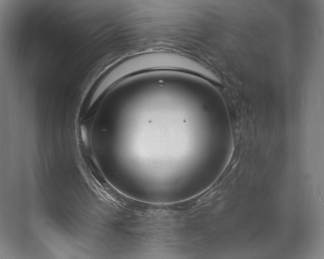 X0000071900242200607141341