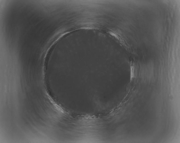 X0000071900243200607141341