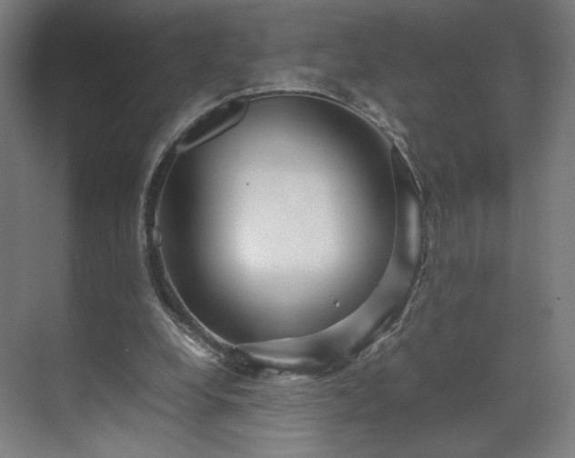 X0000071900248200607141341