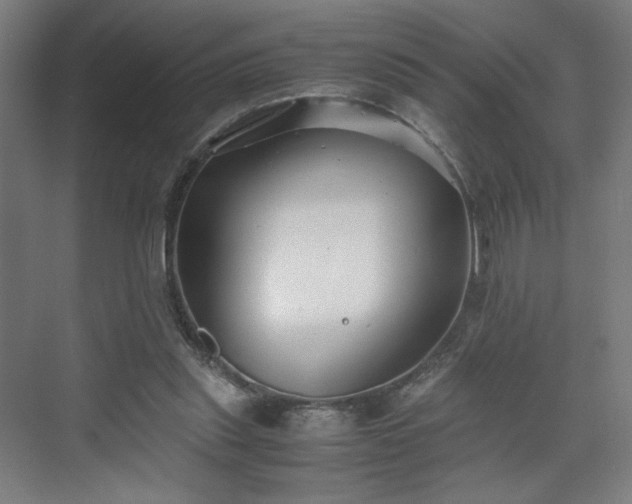X0000071900253200607141342