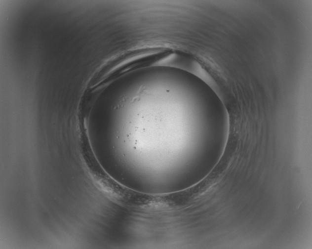 X0000071900256200607141342