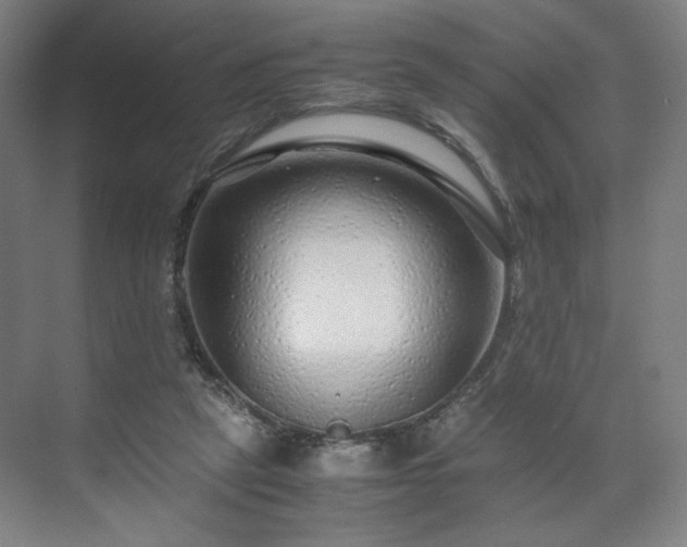 X0000071900257200607141342