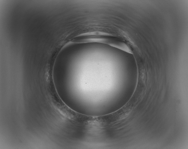 X0000071900259200607141342