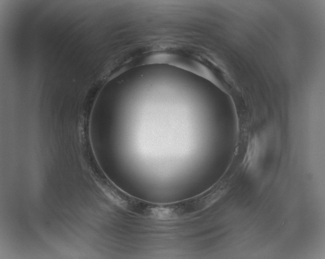 X0000071900265200607141342