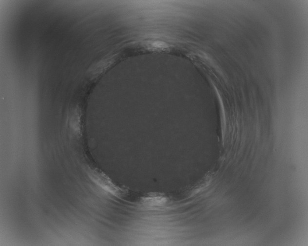 X0000071900266200607141342