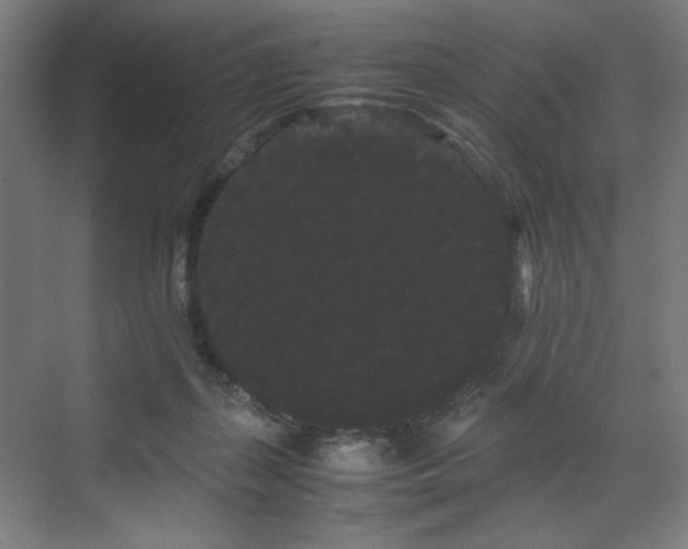 X0000071900267200607141342