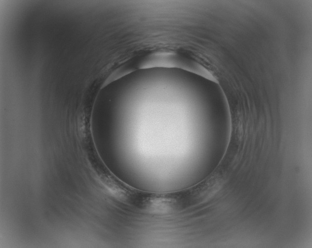X0000071900268200607141342