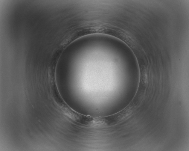 X0000071900270200607141342