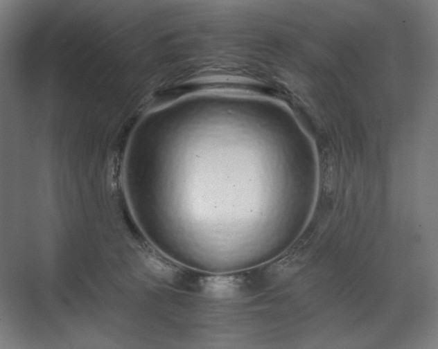 X0000071900273200607141342