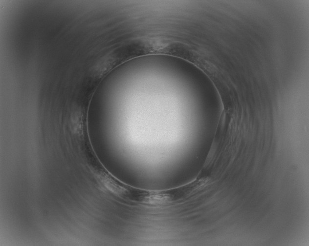 X0000071900274200607141342