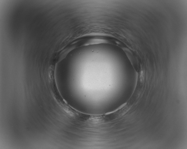 X0000071900280200607141342