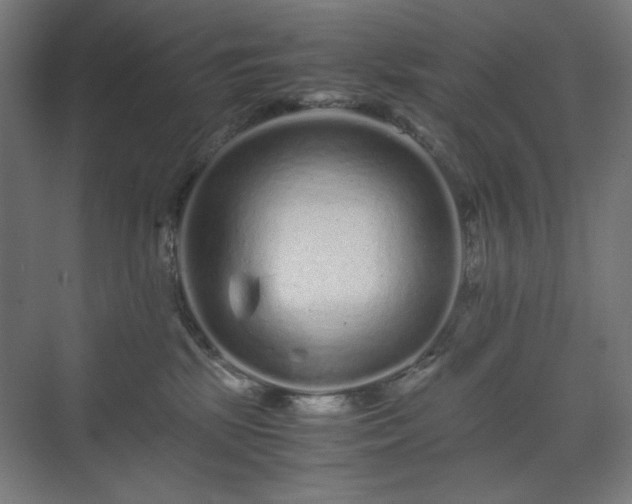 X0000071900281200607141342