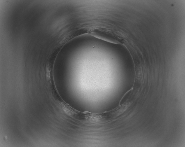X0000071900282200607141342