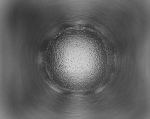 X0000071900284200607141342