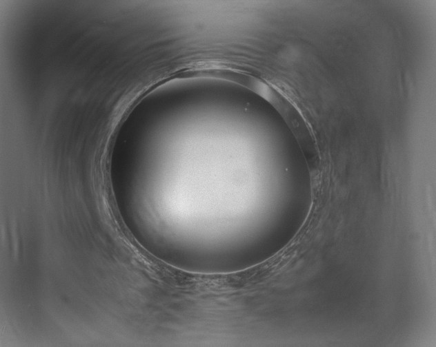 X0000071900289200607141341