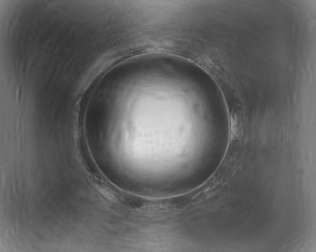 X0000071900291200607141341
