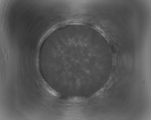 X0000071900293200607141341