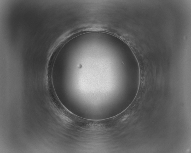X0000071900296200607141341