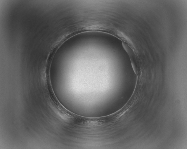 X0000071900298200607141341