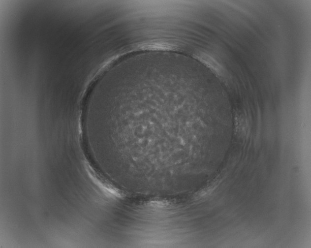 X0000071900302200607141341