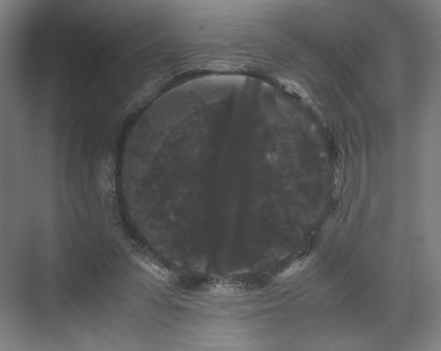 X0000071900303200607141341